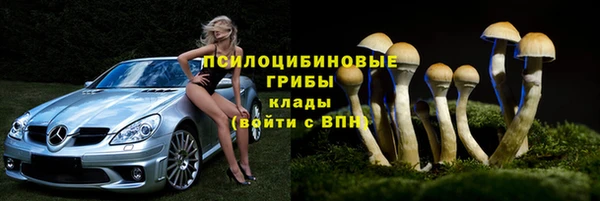 spice Балабаново